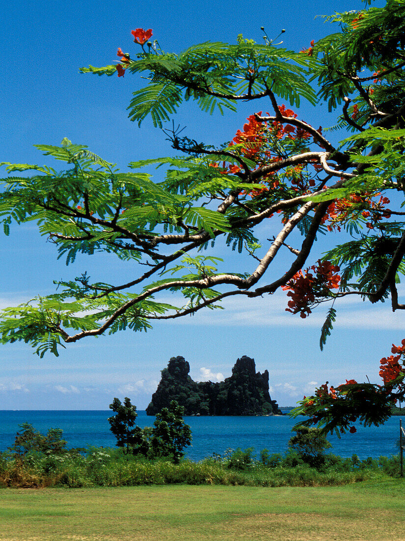 New Caledonia, north province, east coast, near Hienghene, seaside
