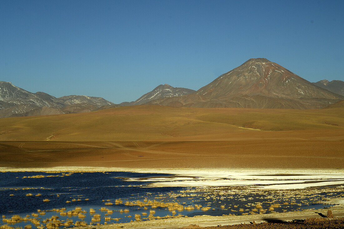 Chile, San Pedro de Atacama, Laguna and volcano Putana