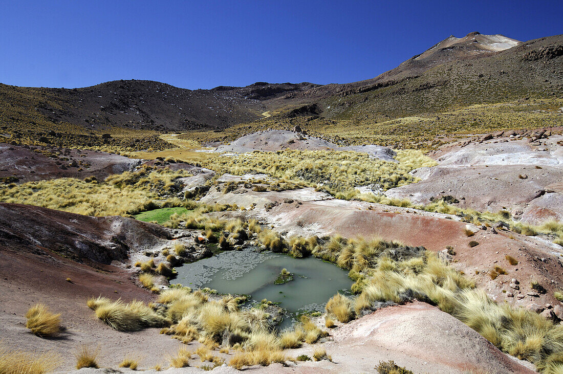 Chile, San Pedro de Atacama district, El Tatio, colored mud