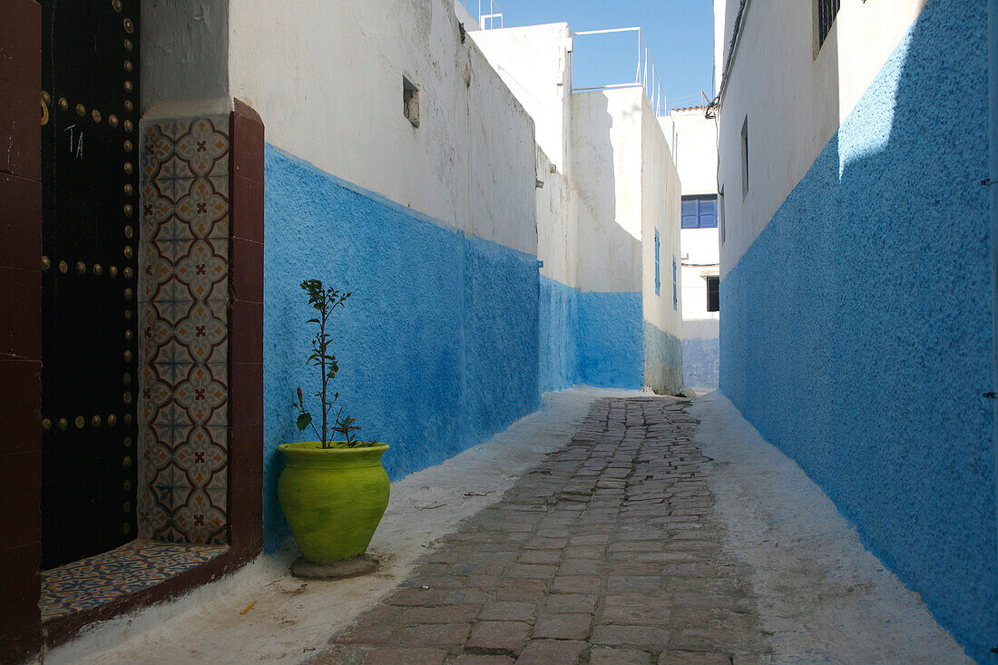 Africa, Maghreb, North africa,Morocco, Rabat, alleyway in the Kasbah of the Udayas