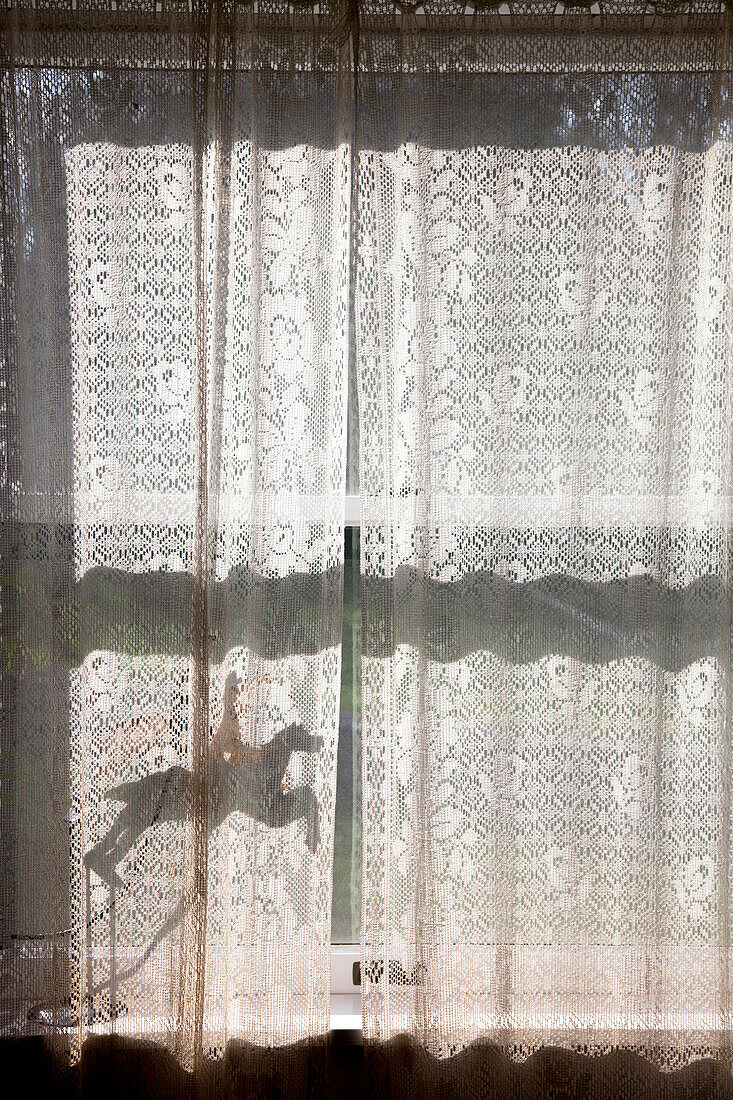 Shadow Through Lace Curtains