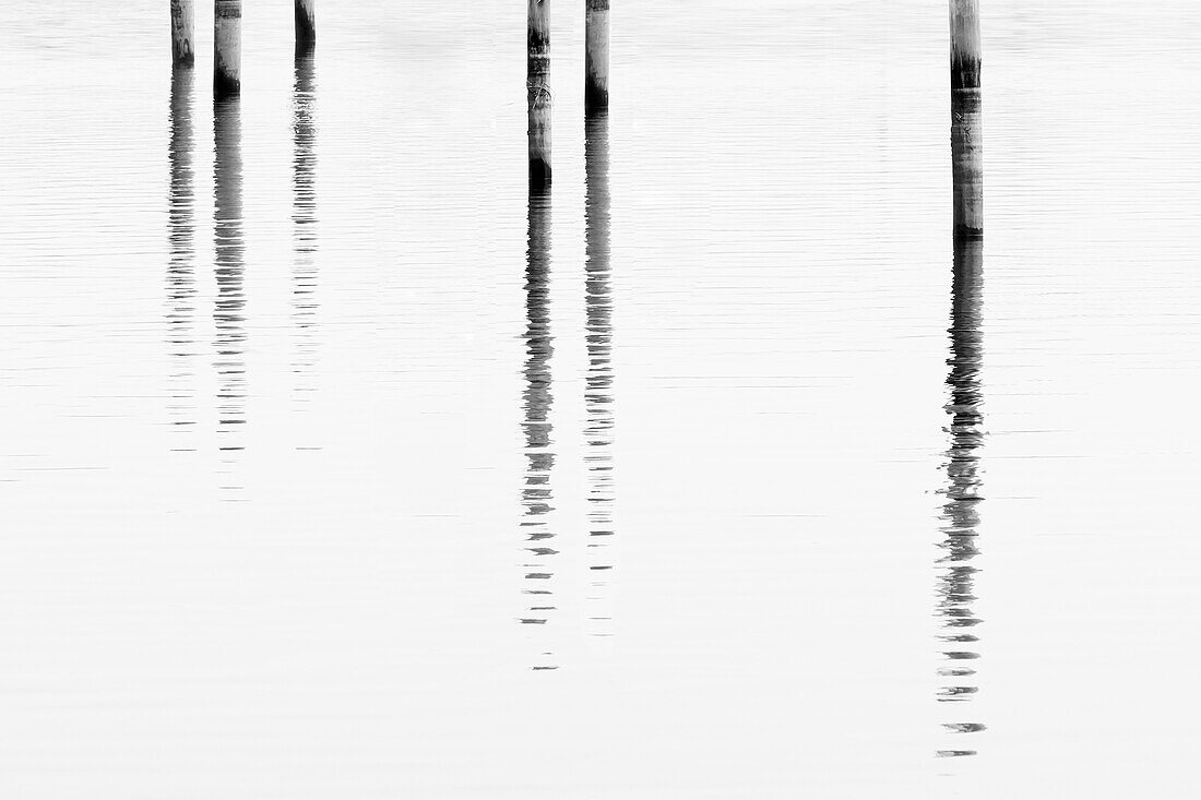 Dock Posts in Water With Reflection, Madison, Connecticut, USA