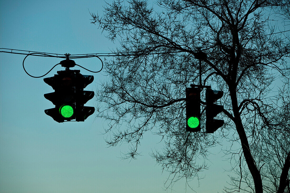 Two Green Traffic Lights Against Tree Silhouette
