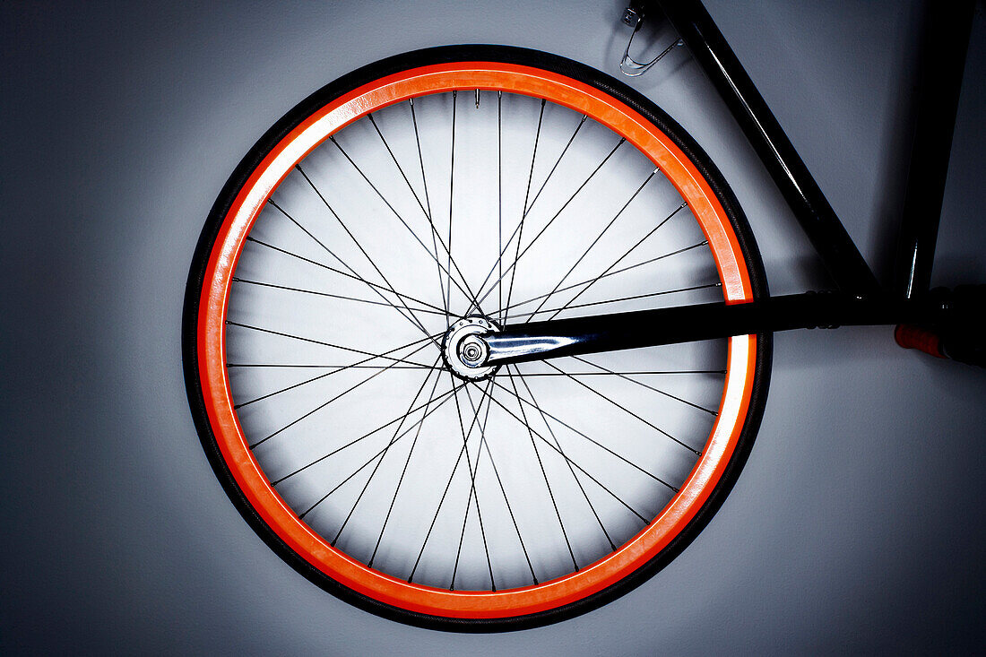 Bicycle Tire