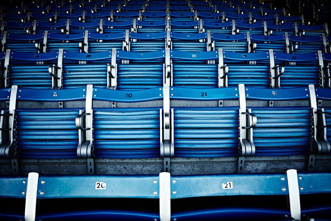 Rows of Blue Stadium Seats