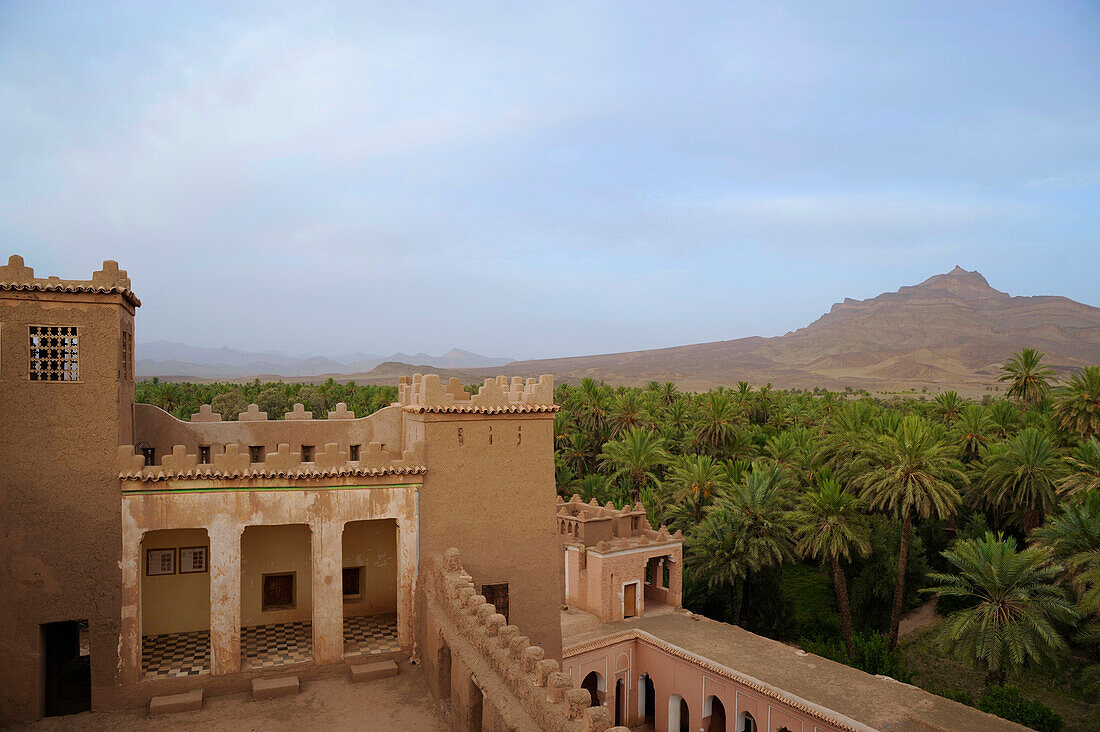 Blick vom Dach der Kasbah Asslim in Agdz über die Palmerie zu Bergen und Wüste, Draa Tal, südlich vom Hohen Atlas. Marokko, Afrika