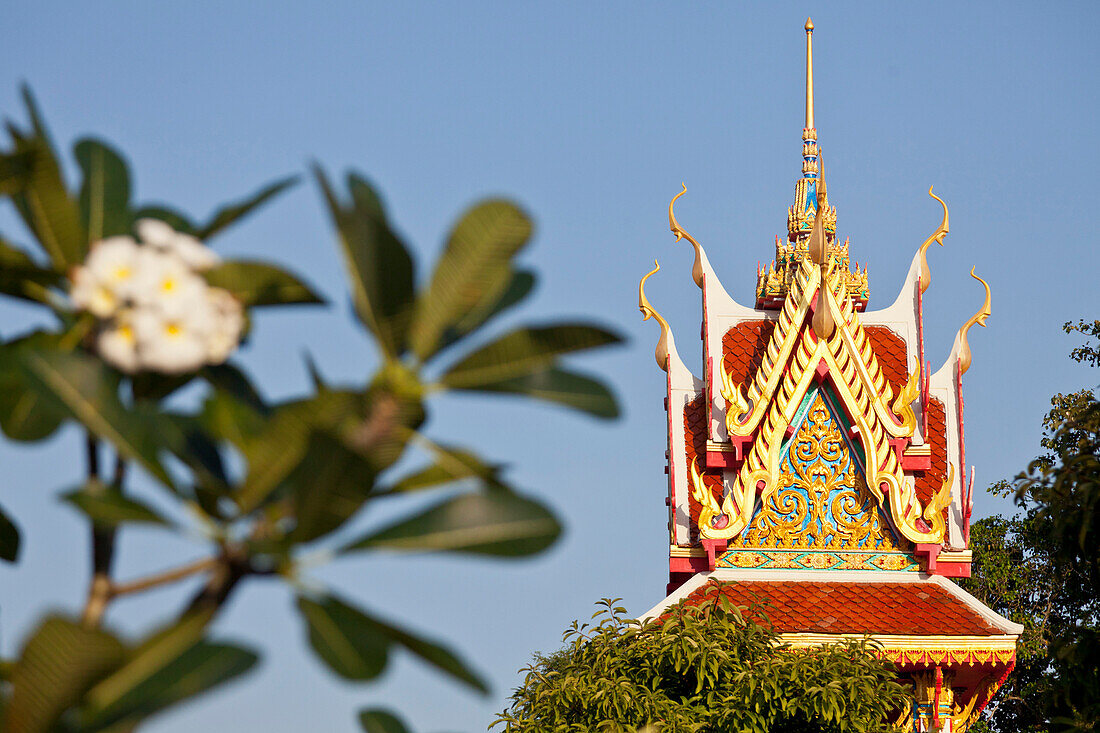 Dach eines buddhistischen Tempels und Frangipani Blüte im goldenen Abendlicht, Rawai, Phuket, Thailand, Asien