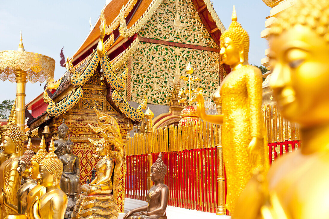 Wat Doi Suthep, vergoldete Buddha Figuren und reich verzierte Tempelgebäude, buddhistischer Tempel auf einem Berg, Wahrzeichen, Chiang Mai, Thailand, Asien