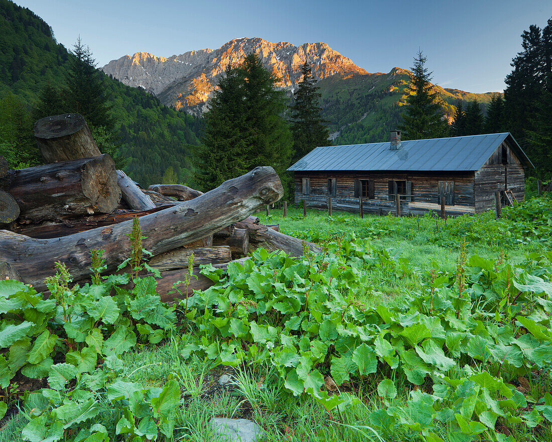 Wooden alpine hut near Mooskofel, Plocken, Carinthia, Austria