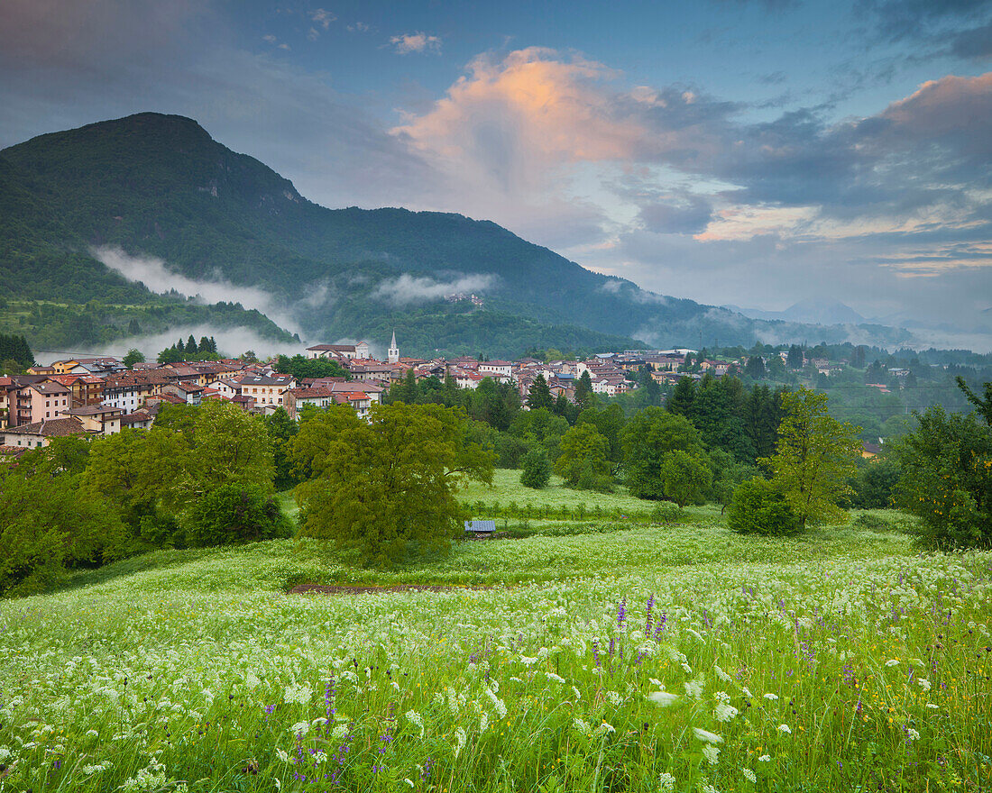 Field overlooking Ampezzo, Friuli, Italy