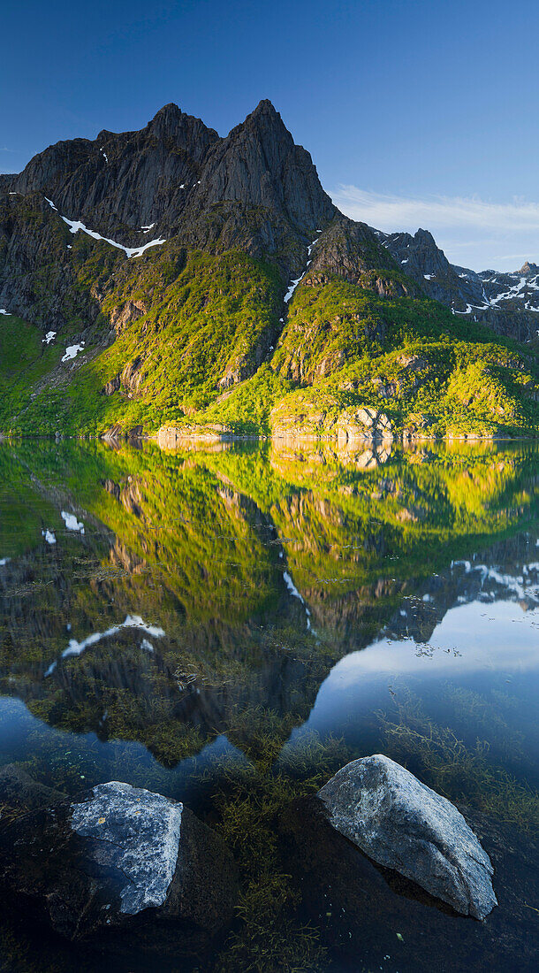 Spiegelung der Berge im Higravfjorden, Austvagoya, Lofoten, Nordland, Norwegen