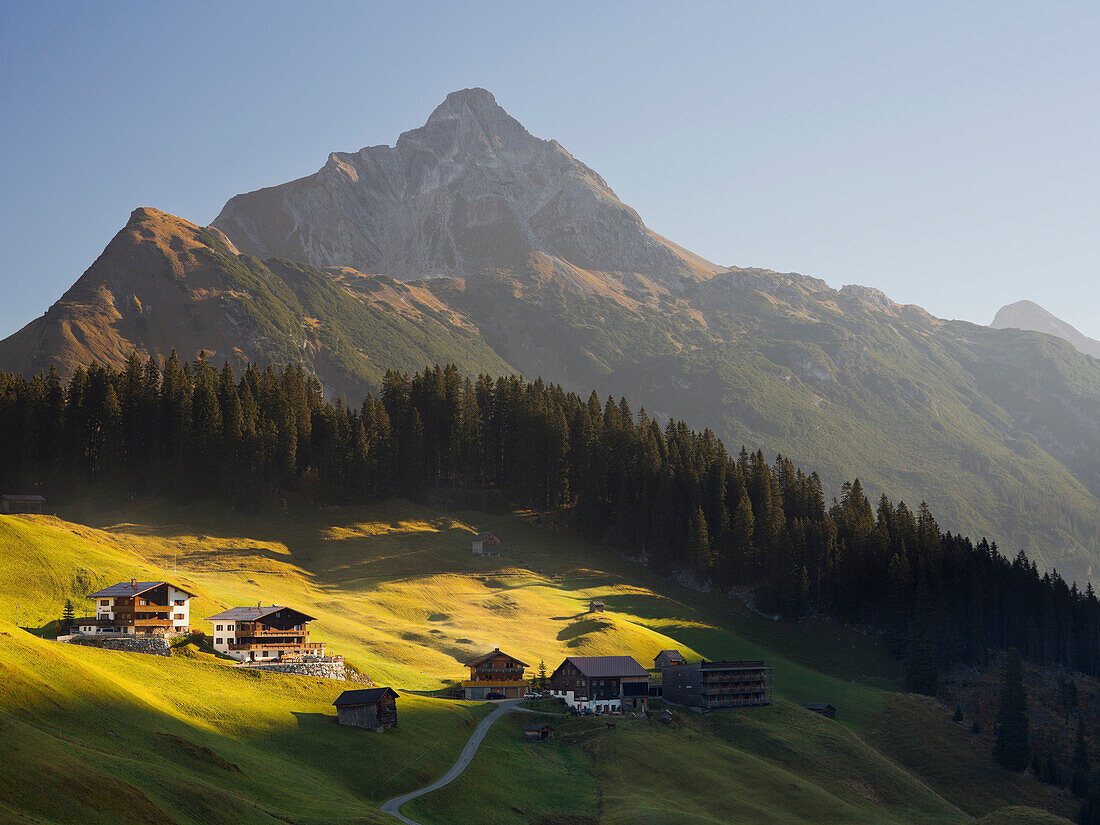 Blick auf Bauernhof auf einer Almwiese und Biberkopf, Lechtaler Alpen, Vorarlberg, Österreich, Europa