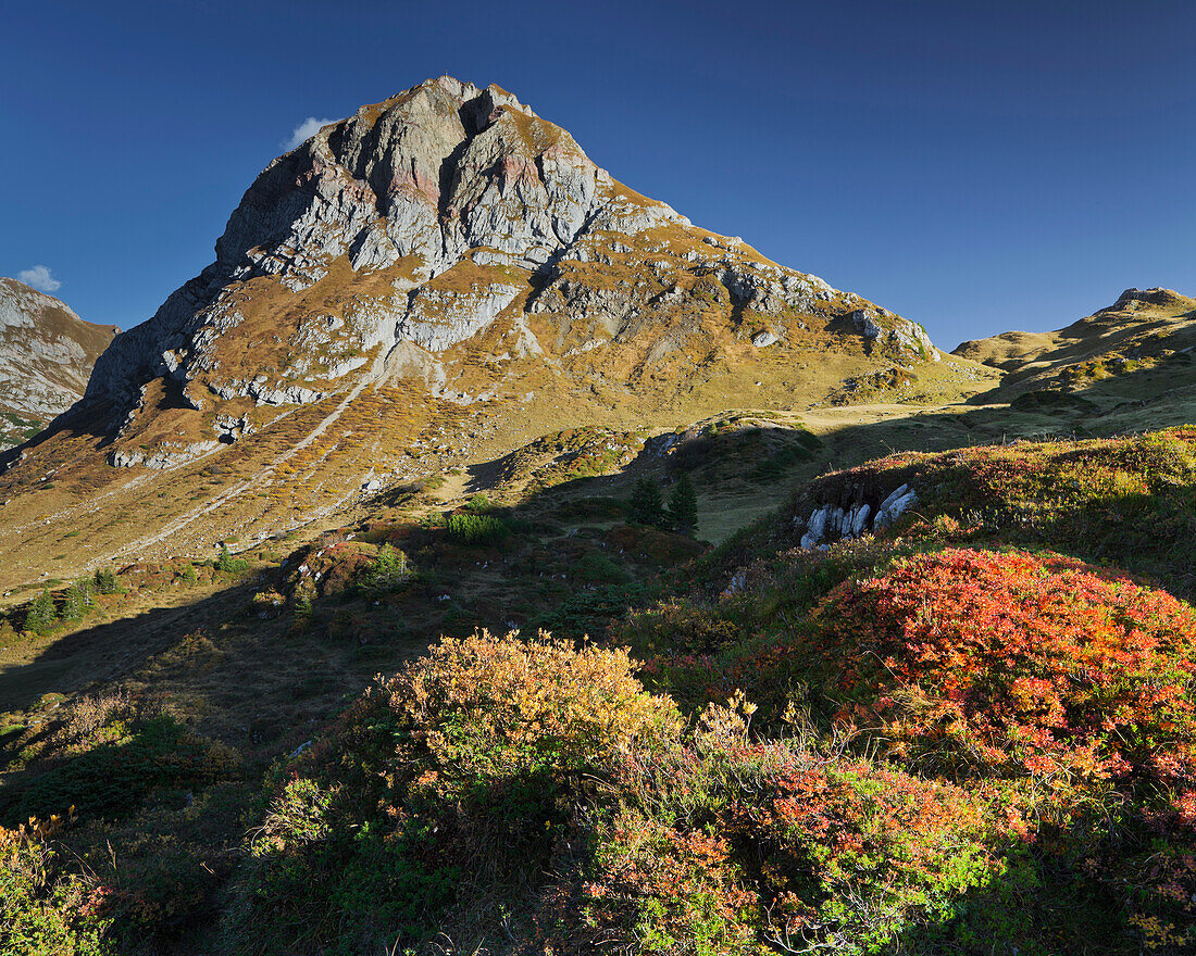 Formaletsch mountain in the sunlight, Lechquellengebirge, Vorarlberg, Austria, Europe