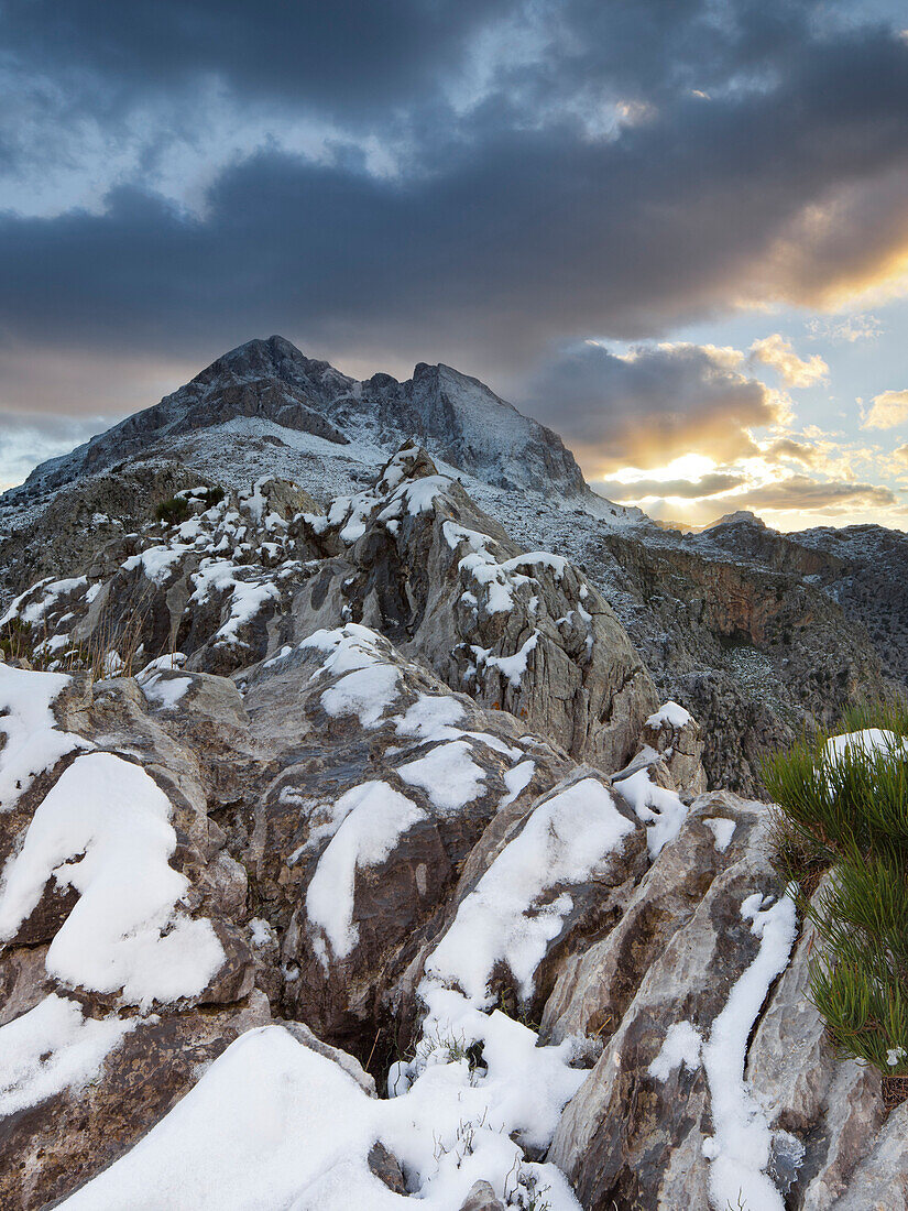 Schneebedeckter Berg am Abend, Puig Major, Puig de ses Vinyes, Coll de Cals Reis, Serra de Tramuntana, Mallorca, Spanien, Europa