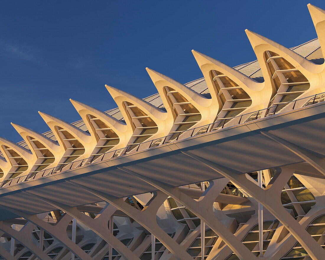 Museum of sciences in the sunlight, Museo de las Ciencias Principe Felipe, Ciudad de las Artes y de las Ciencias, Valencia, Spain, Europe