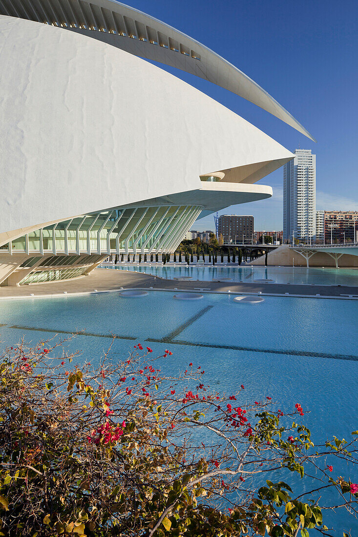 Opernhaus im Sonnenlicht, Palau de les Arts Reina Sofia, Ciudad de las Artes y de las Ciencias, Valencia, Spanien, Europa
