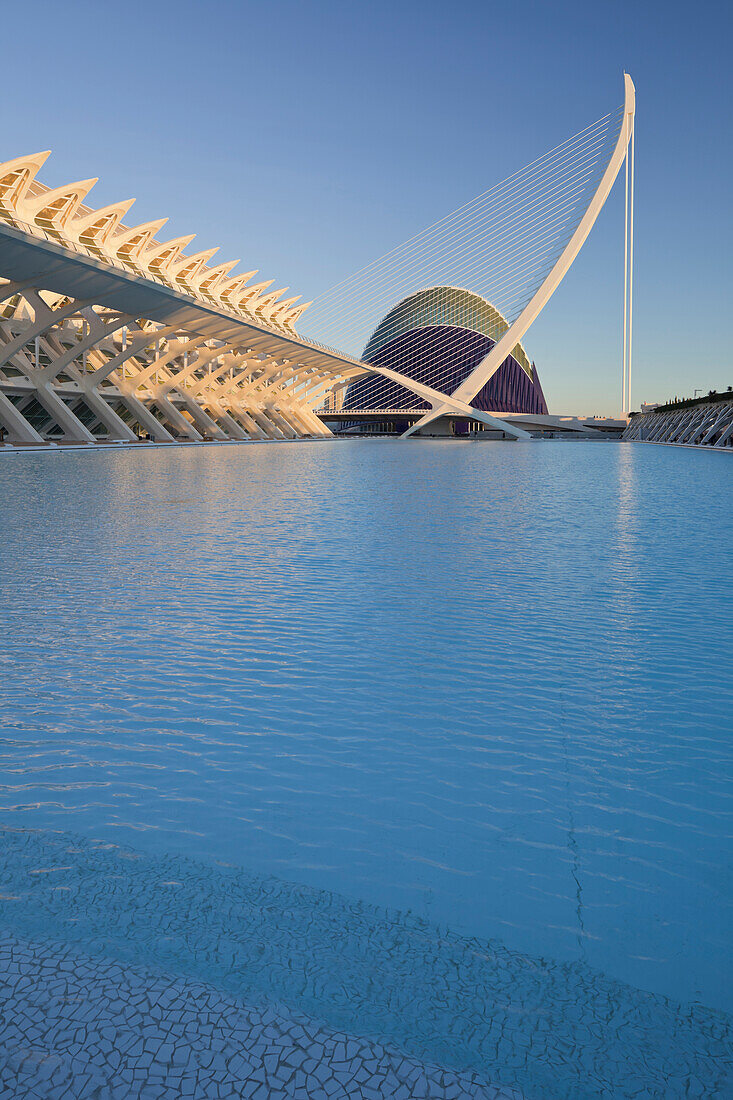 Museo de las Ciencias Principe Felipe and L'Agora in the sunlight, Ciudad de las Artes y de las Ciencias, Valencia, Spain, Europe