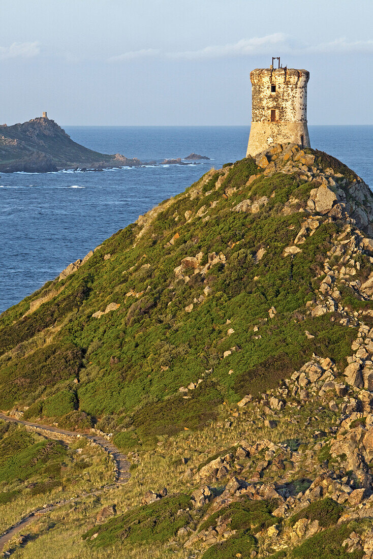 Genuesischer Turm, Pointe de la Parata, Korsika, Frankreich