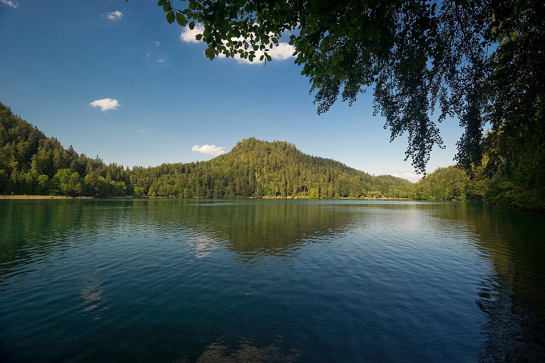 Scenery at lake Alatsee near Fuessen, Allgaeu, Bavaria, Germany