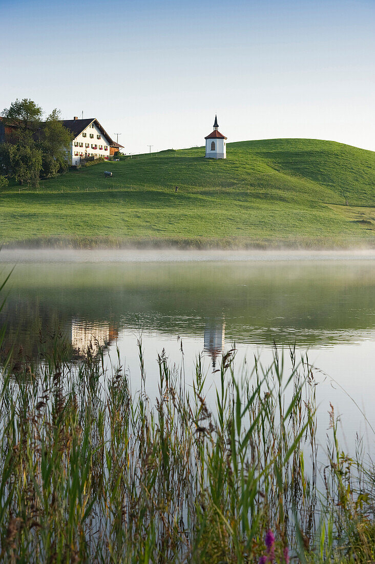 Blick über Hegratsrieder See auf Hofkapelle, Halblech, Allgäu, Bayern, Deutschland