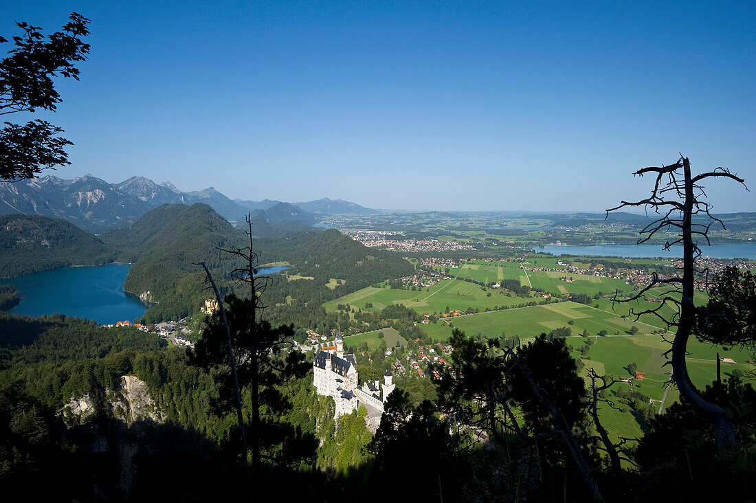 View to Neuschwanstein Castle and Hohenschwangau Castle, Schwangau near Fuessen, Allgaeu, Bavaria, Germany