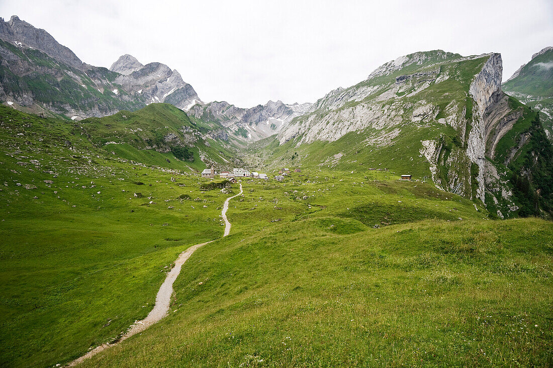 Alpine meadow at Meglisalp, Alpsteingebirge, Saentis, Appenzeller Land, Switzerland, Europe
