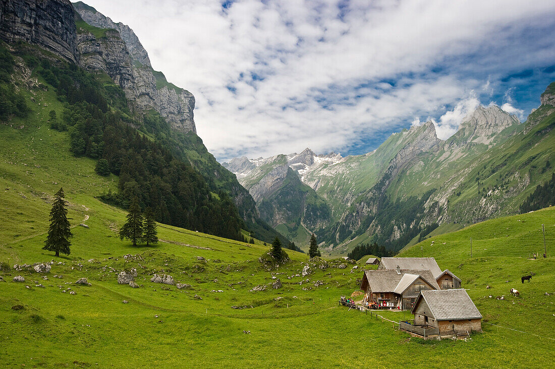 Alm mit Berghütte am Seealpsee, Alpsteingebirge, Säntis, Appenzeller Land, Schweiz, Europa