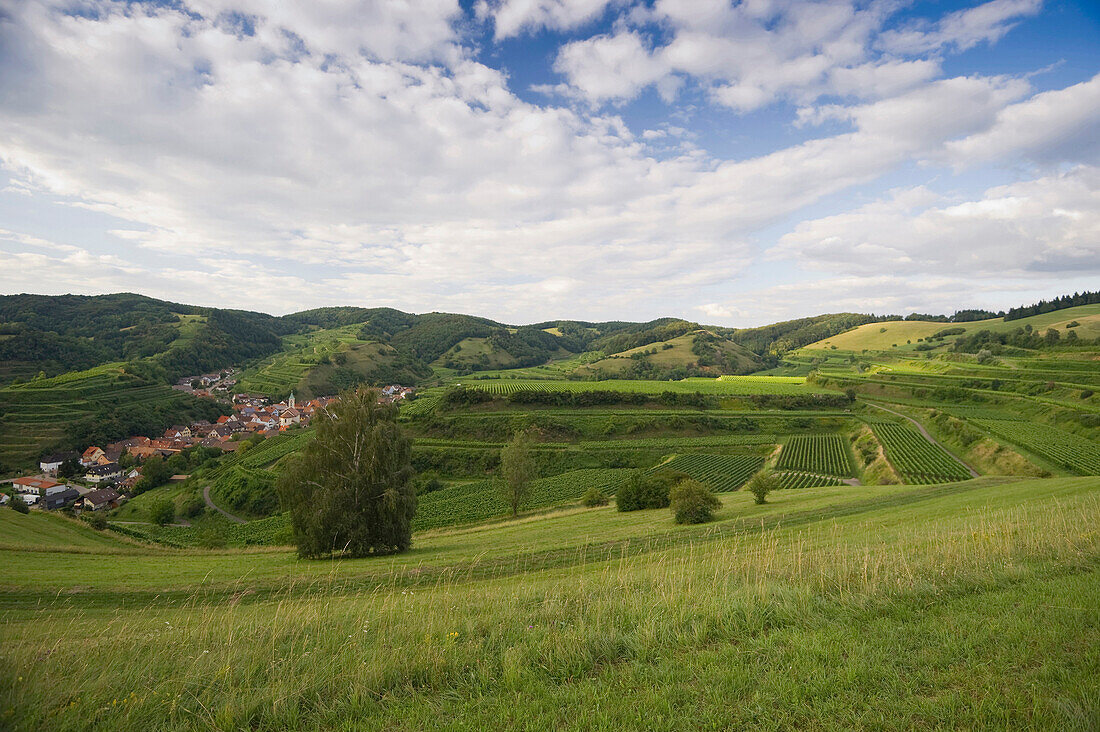 Hügel und Weinberge unter Wolkenhimmel, Kaiserstuhl, Baden-Württemberg, Deutschland, Europa