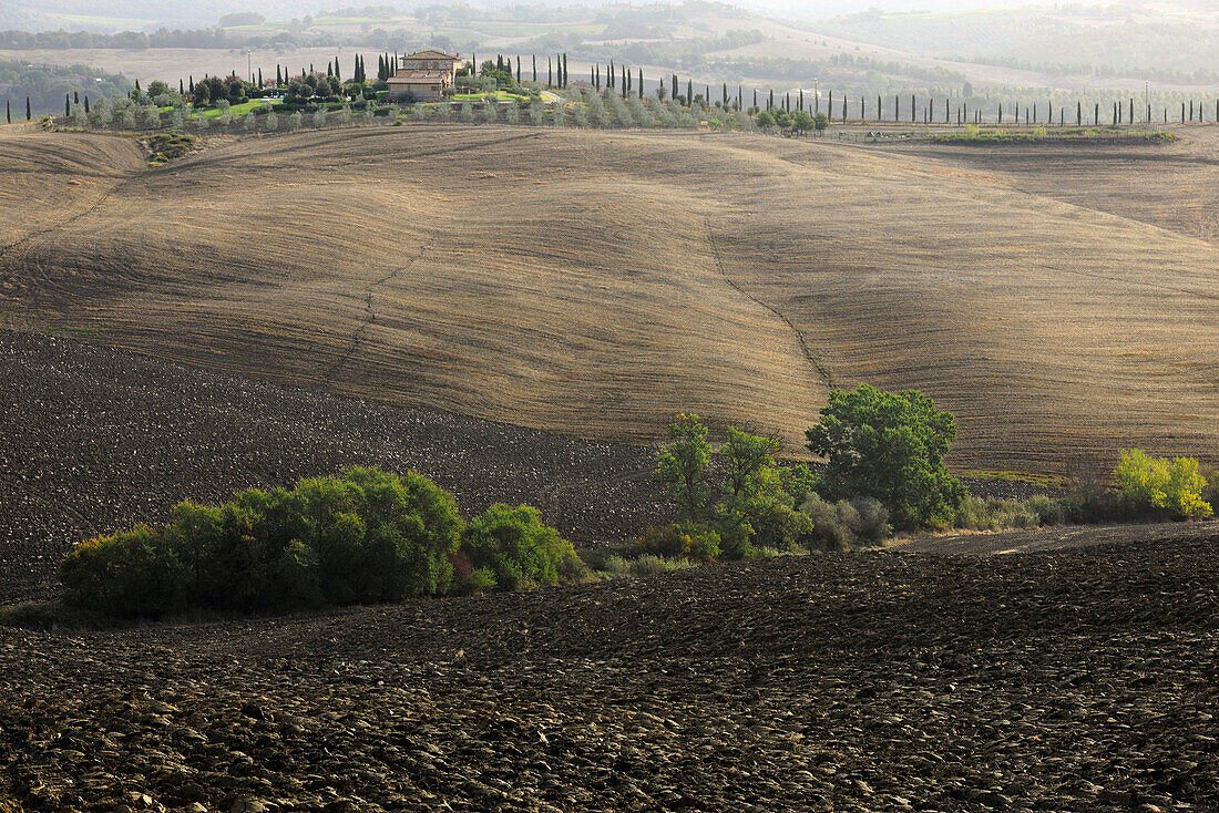 View of hilly landscape of the Crete, Tuscany, Italy, Europe