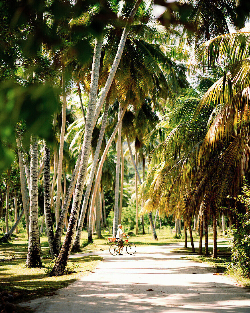 Tourist in Kokospalmenplantage L'Union Estate, La Digue, La Digue and Inner Islands, Republik Seychellen, Indischer Ozean