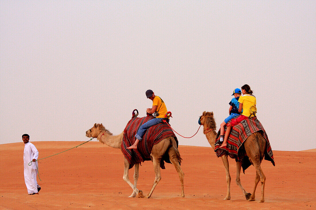Kamele, Touristen, Wüste, Dubai, VAE, Vereinigte Arabische Emirate