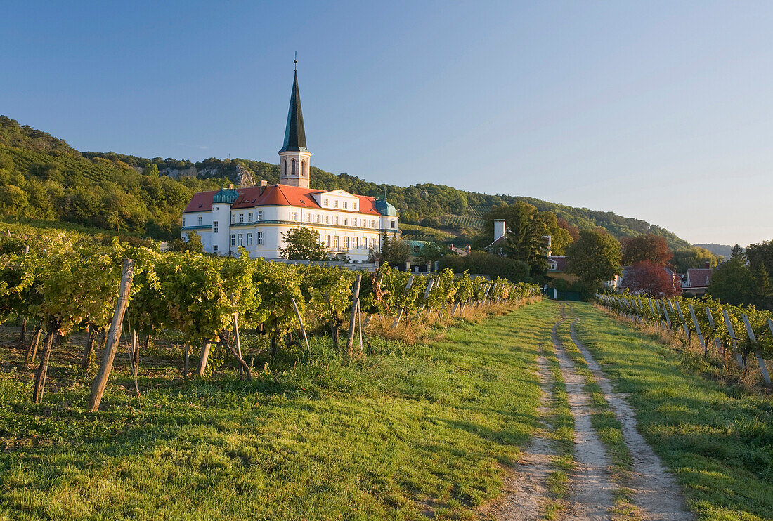 Vineyard and monastery in the sunlight, Gumpoldskirchen, Lower Austria, Austria, Europe