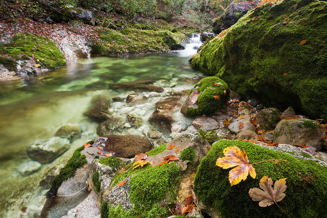 2007, Bach zwischen moosbewachsenen Steinen, Naturschutzgebiet Schwarzbach, Bayern, Deutschland, Europa