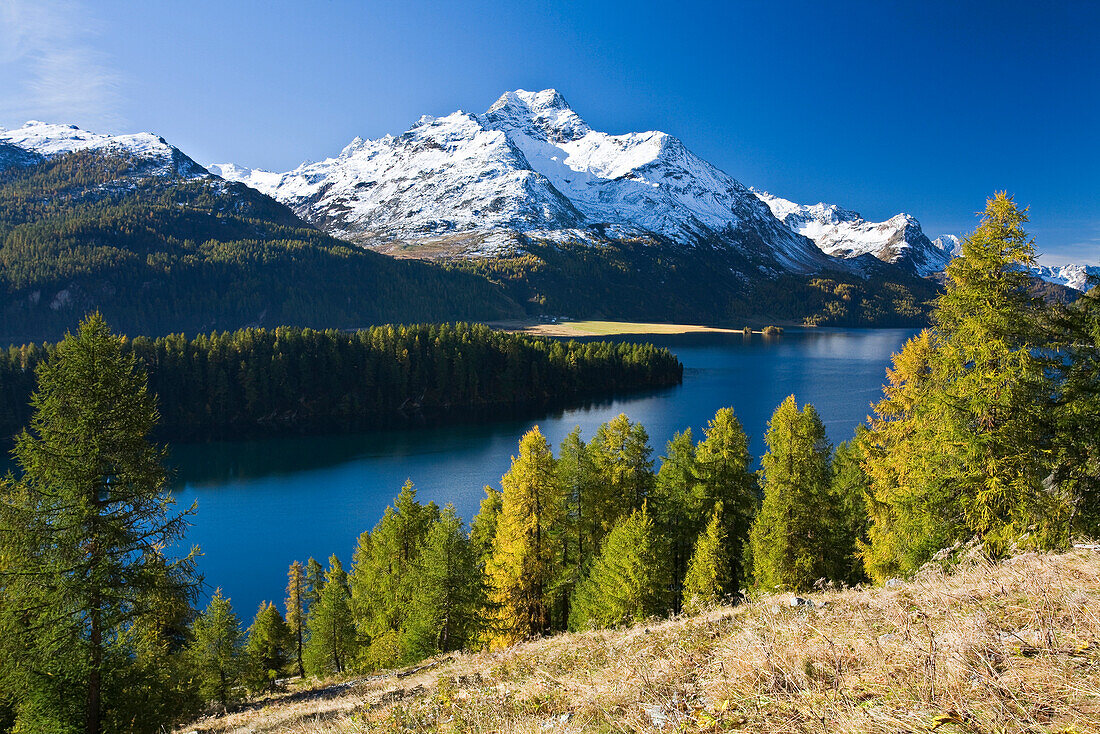 Silser See und schneebedeckte Berge im Sonnenlicht, Piz da la Margna, Oberengadin, Engadin, Graubünden, Schweiz, Europa