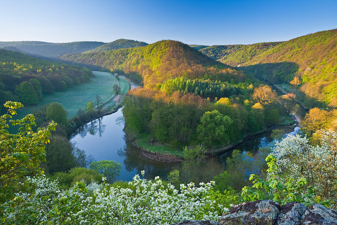 Blick auf den Fluss Thaya im Thayatal im Frühling, Niederösterreich, Österreich, Europa