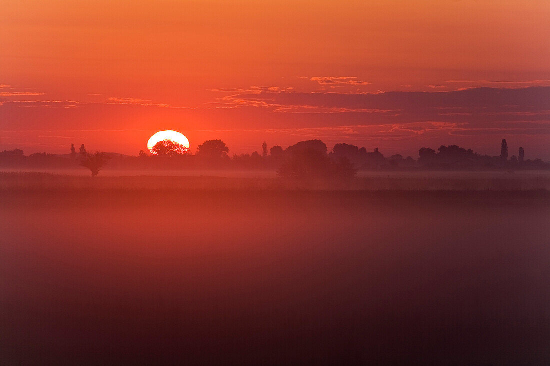 Lake Neusiedl at sunrise, Fertoe National Park, Burgenland, Austria, Europe