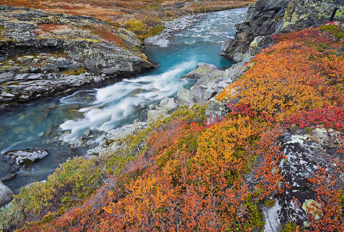 Fluss Leira im Jotunheimen Nationalpark, Leirdalen, Norwegen, Europa