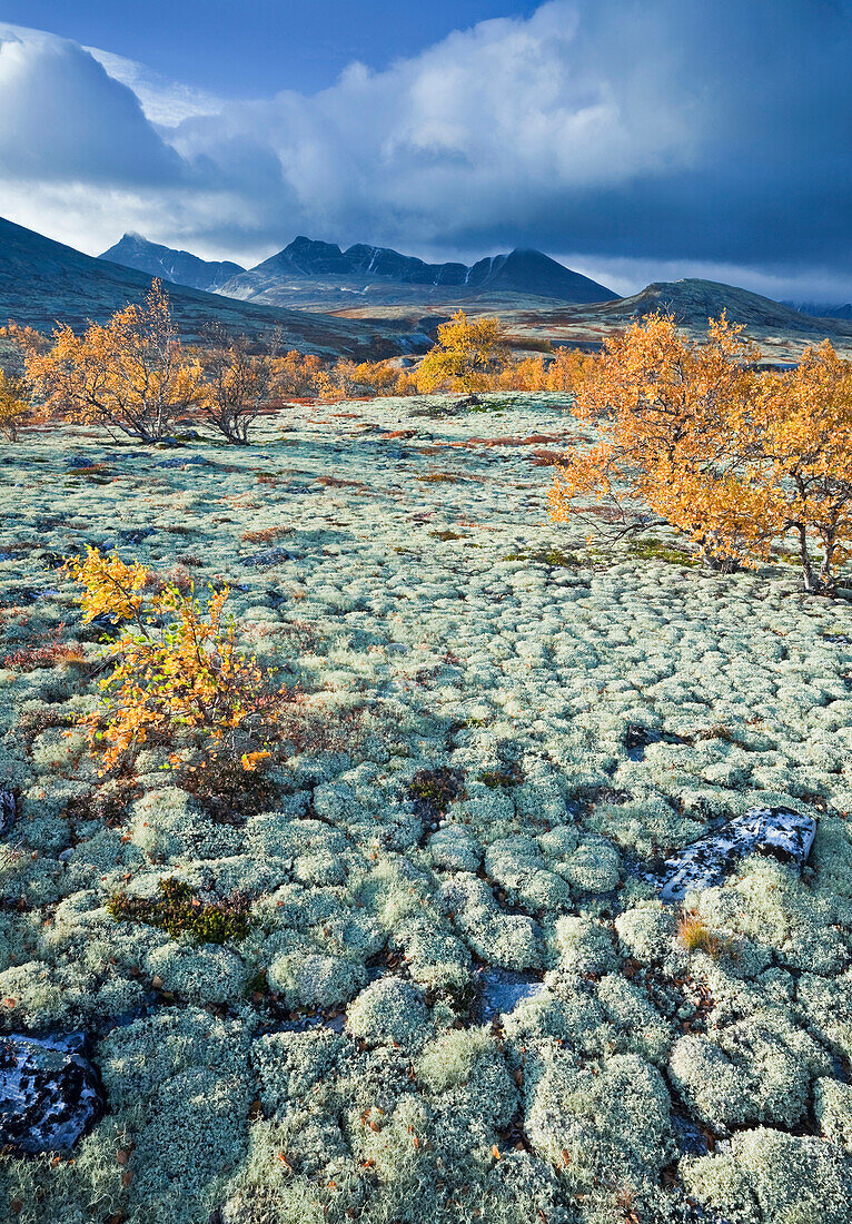 Der Berg Högronden unter Wolkenhimmel, Rondane Nationalpark, Döralen, Norwegen, Europa