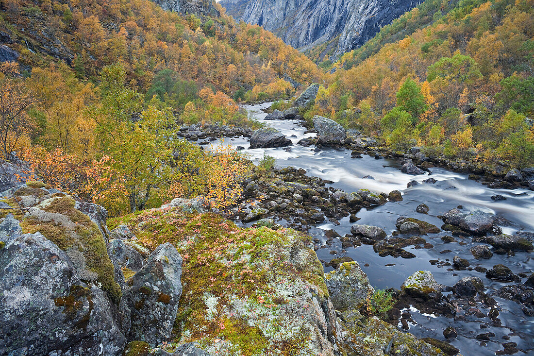 Schlucht des Flusses Bjoreio, Mabödalen, Vöringfossen, Hordaland, Norwegen
