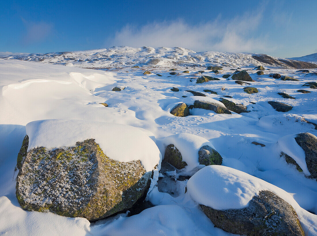 Hardangervidda Nationalpark in Winter, schneebedeckte Landschaft, Hordaland, Norwegen
