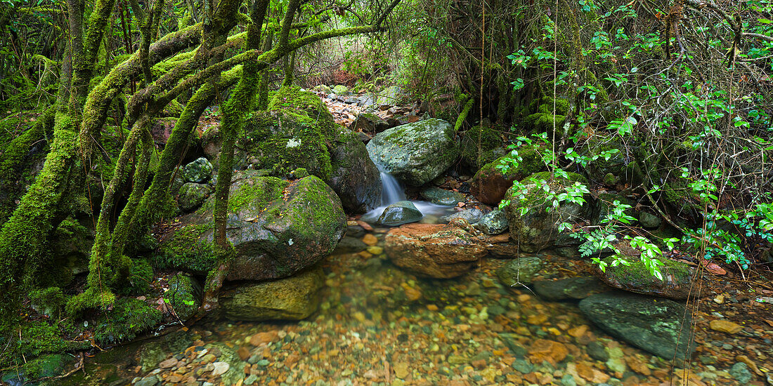 Bach im Fangotal, La Vallee de Fango, Korsika, Frankreich