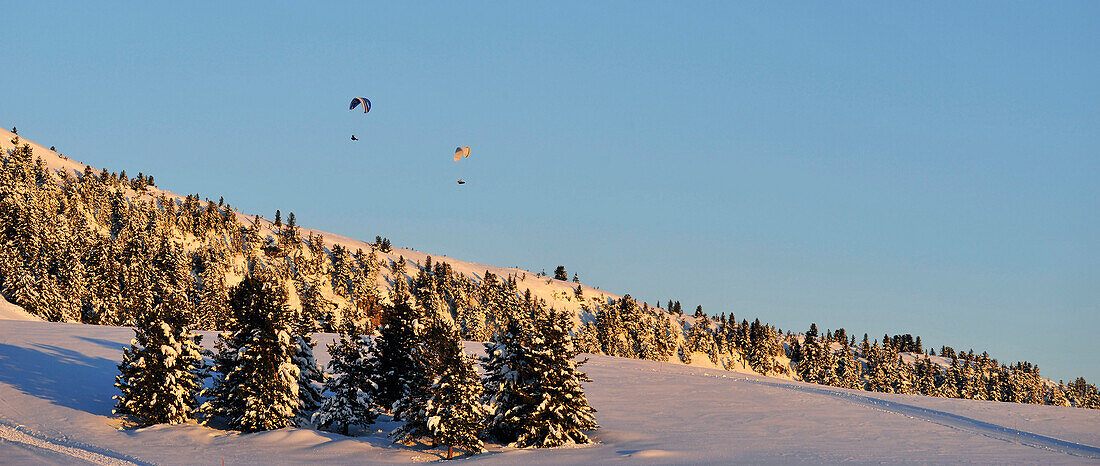 Paragliding, Winter landscape, Rittner Horn, Alto Adige, South Tyrol, Italy