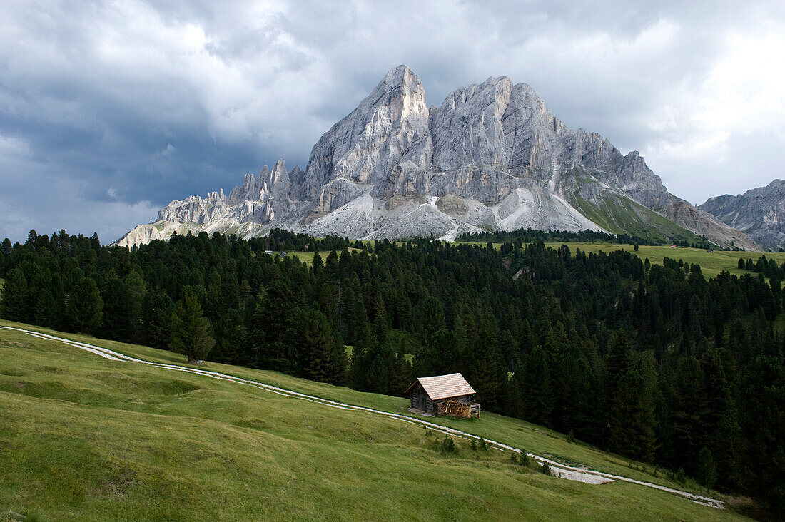 Peitlerkofel, Nature Reserve Park Puez Geisler, Alto Adige, South Tyrol, Italy