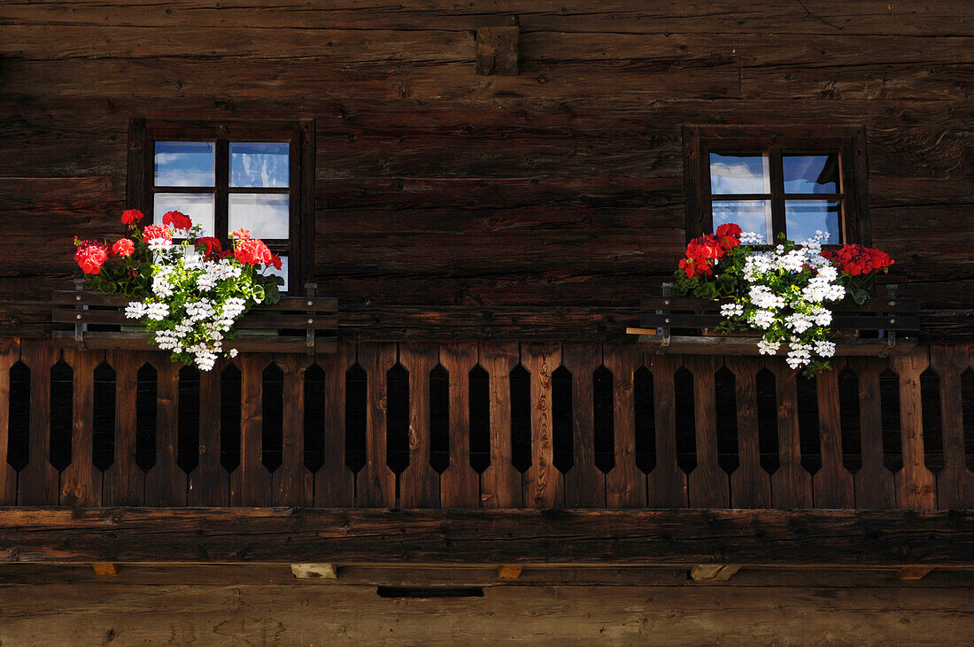 Window boxes with geraniums on the balcony of a farmhouse, Alto Adige, South Tyrol, Italy