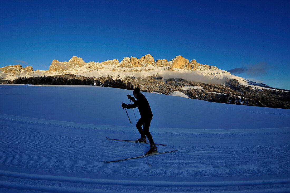 Cross country skier,  Karersee area, Alto Adige, South Tyrol, Italy