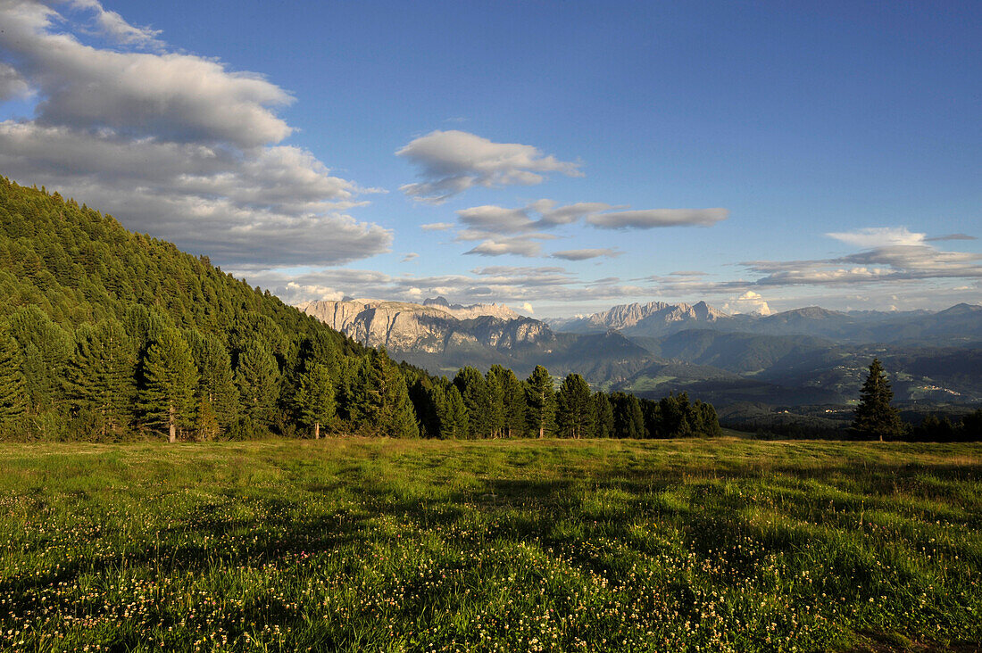 Almwiese in den Bergen, Alto Adige, UNESCO Weltnaturerbe,  Südtirol, Italien