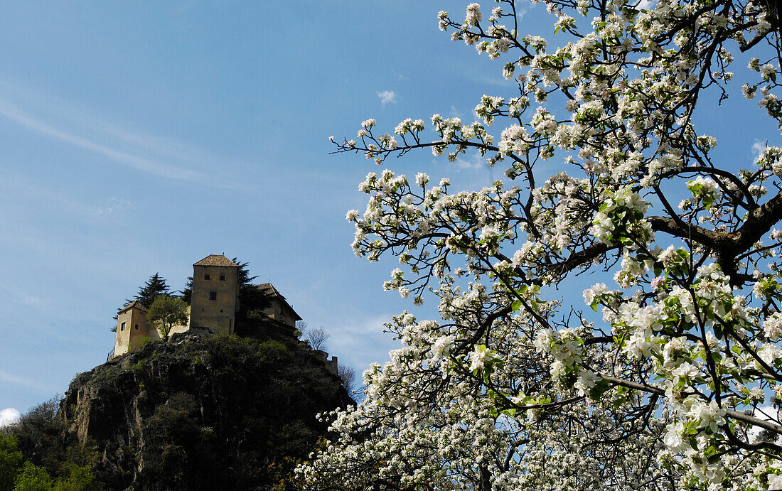 Schloss Juval im Frühling, Vinschgau, Alto Adige, Südtirol, Italien