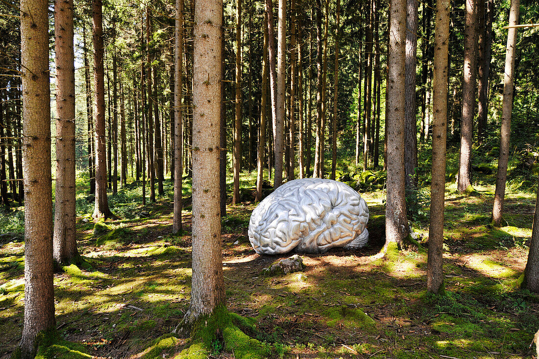Silberne Skulptur im Wald, Kulturweg Gais, Südtirol, Alto Adige, Italien, Europa