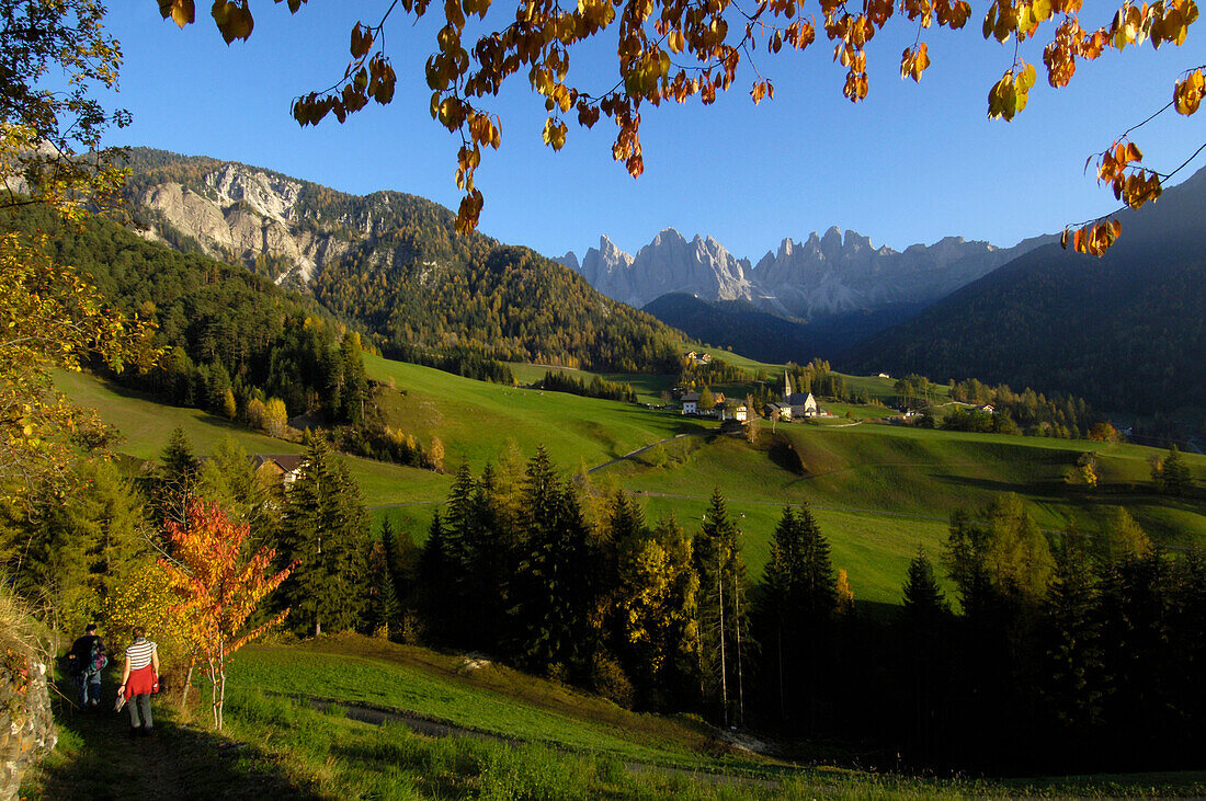Blick auf St. Magdalena im Villnösstal im Herbst, Dolomiten, Südtirol, Alto Adige, Italien, Europa