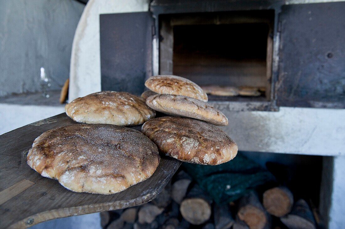 Roggenbrote auf einem Brotschieber, Gemeinde Karneid, Südtirol, Alto Adige, Italien, Europa